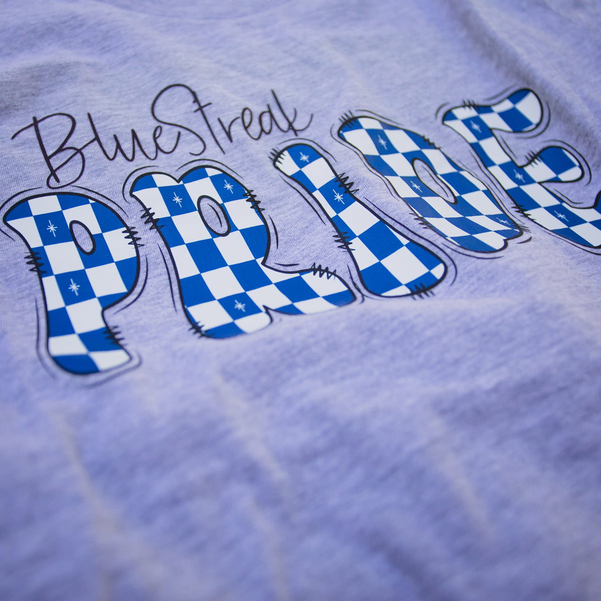 A close-up of a light periwinkle blue t-shirt featuring a graphic print that reads 'Blue Streak PRIDE' in stylized letters. The letters 'PRIDE' are filled with a blue and white checkered pattern reminiscent of the Bavarian flag, and the word 'Blue Streak' is written in black cursive script above them.